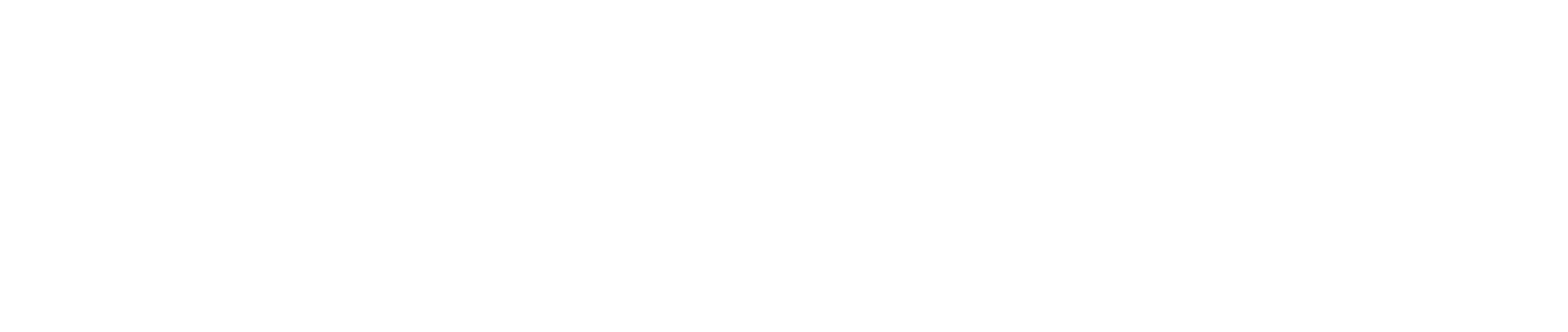 Transition Tribe